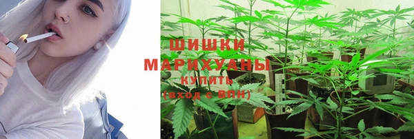 прущая мука Богданович